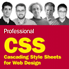 Professional CSS