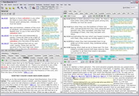 SwordSearcher screenshot
